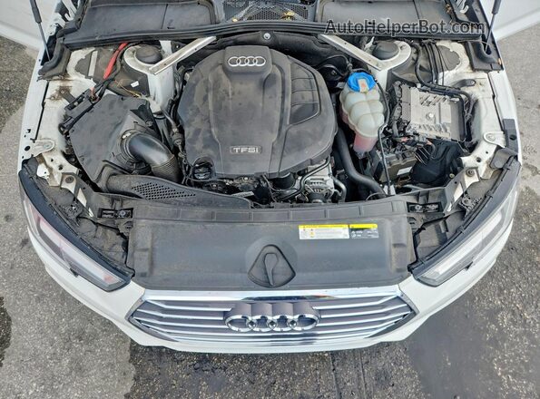 WAUENAF44HN071480 2017 AUDI A4 Белый Вид задней части салона
