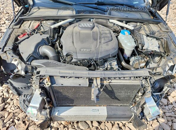 WAUENAF45HN061542 2017 AUDI A4 Black Սալոնի հետևի տեսք