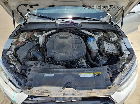 WAUENCF5XKA005454 2019 AUDI A5 White Սալոնի հետևի տեսք
