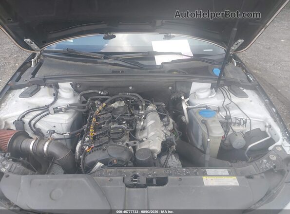 WAUFFAFL4GN014817 2016 AUDI A4 White Widok z tyłu