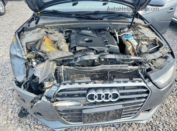 WAUFFAFL8GN017137 2016 AUDI A4 Серый Вид задней части салона