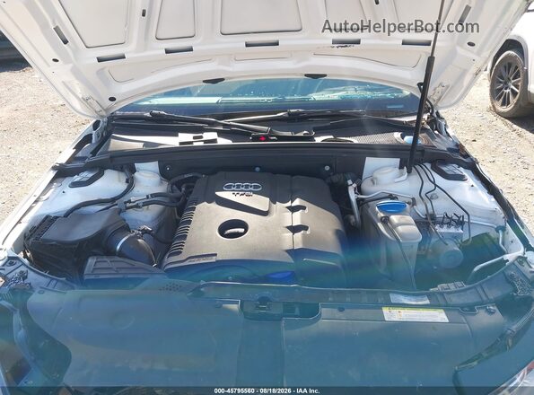 WAUFFAFL9GA004081 2016 AUDI A4 White Widok z tyłu