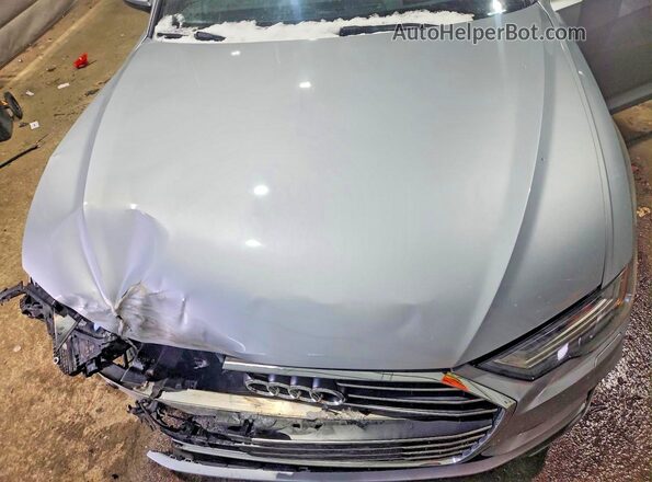 WAUM2AF28KN060914 2019 AUDI A6 Silver Вид задньої частини салону