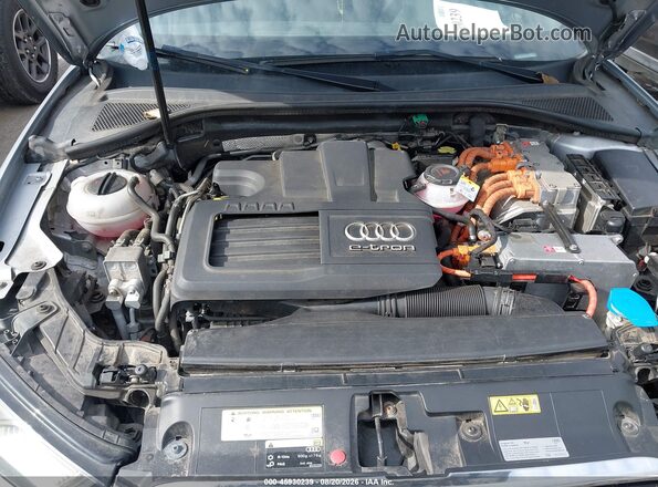 WAUTPBFF6GA035143 2016 AUDI A3 Silver Հետևի տեսք
