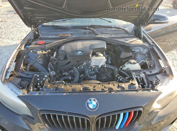 WBA1F9C57GV742548 2016 BMW 2 SERIES Black Vista interior trasera