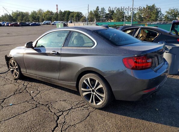 WBA1F9C59GV545154 2016 BMW 2 SERIES Gray Задня ліва чверть