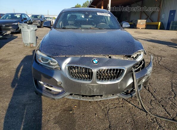 WBA1F9C59GV545154 2016 BMW 2 SERIES Gray Вид спереду