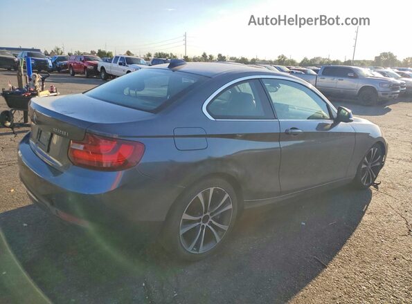 WBA1F9C59GV545154 2016 BMW 2 SERIES Gray Задня права чверть