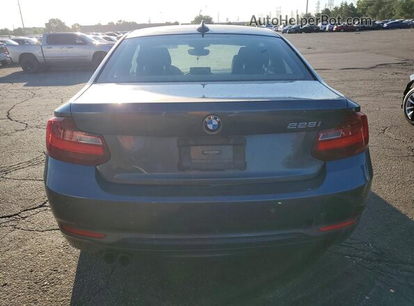 WBA1F9C59GV545154 2016 BMW 2 SERIES Gray Вид ззаду
