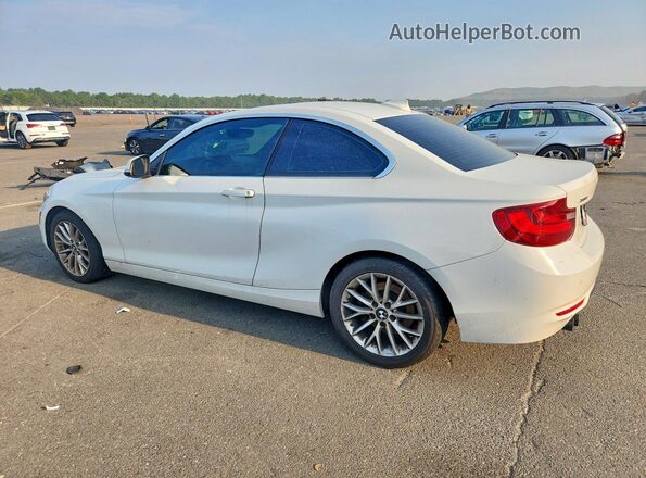 WBA1G9C55GV599046 2016 BMW 2 SERIES White უკანა მარცხენა