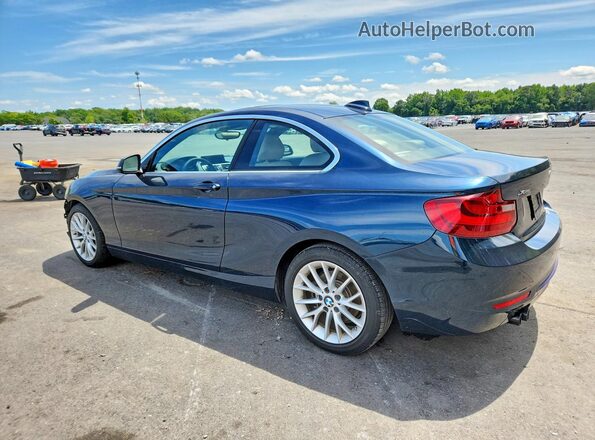 WBA1G9C57GV598870 2016 BMW 2 SERIES Blue Задня ліва чверть