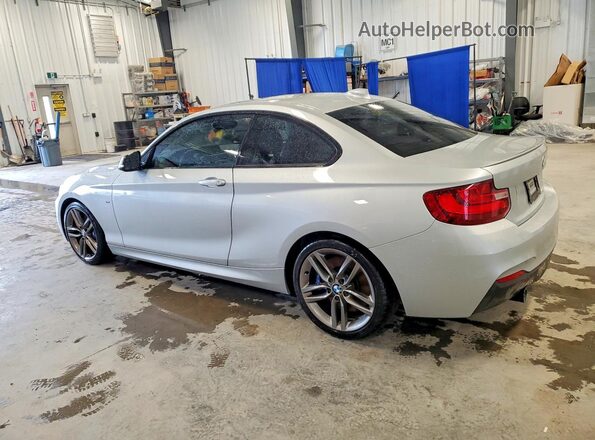 WBA1J7C50GV359070 2016 BMW M2 Silver Հետևի ձախ