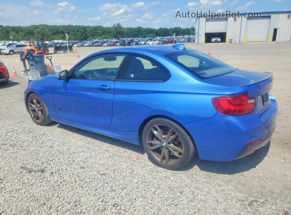 WBA1J7C52GV289815 2016 BMW M2 Blue Rear left