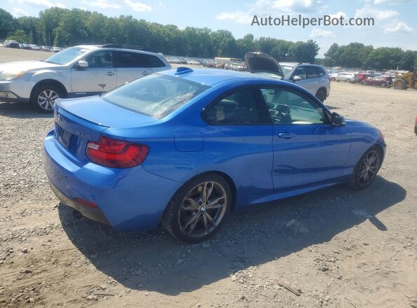 WBA1J7C52GV289815 2016 BMW M2 Blue Rear right