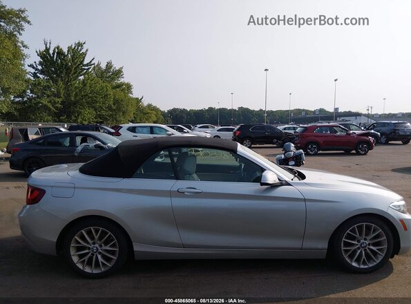 WBA1L9C51GV325306 2016 BMW 2 SERIES Серый 