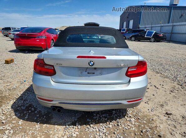 WBA1L9C58GV324461 2016 BMW 2 SERIES Серебряный Вид сзади