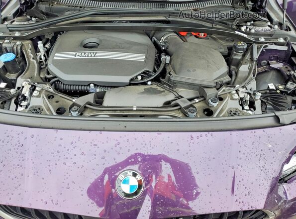WBA23GG03S7S24742 2025 BMW 2 SERIES Purple Vista interior trasera