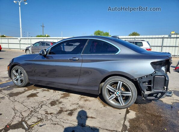 WBA2H9C36HV642603 2017 BMW 2 SERIES Gray Tył lewy