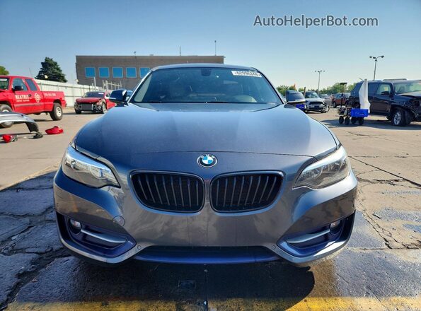WBA2H9C36HV642603 2017 BMW 2 SERIES Gray Widok z przodu