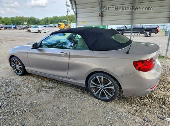 WBA2K9C36HV647351 2017 BMW 2 SERIES Cream Задня ліва чверть