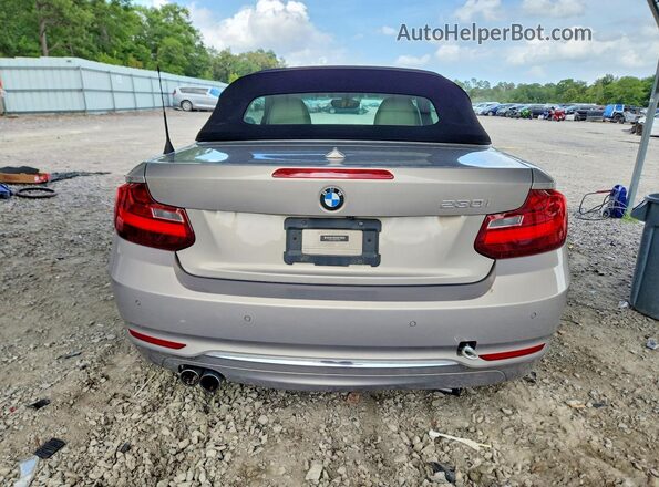 WBA2K9C36HV647351 2017 BMW 2 SERIES Cream Вид ззаду