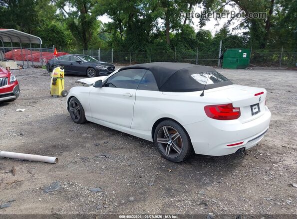 WBA2K9C37H7A26448 2017 BMW 2 SERIES White Հետևի ձախ