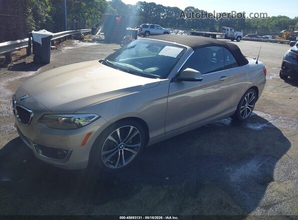 WBA2K9C38HV950356 2017 BMW 2 SERIES Brown Vista tres cuartos delantera izquierda
