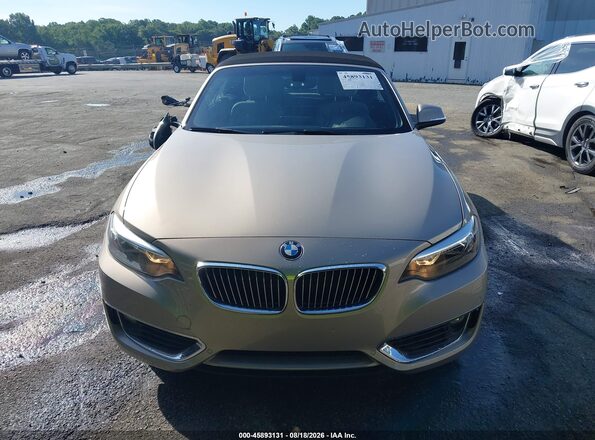 WBA2K9C38HV950356 2017 BMW 2 SERIES Brown Vista del cuadro de instrumentos