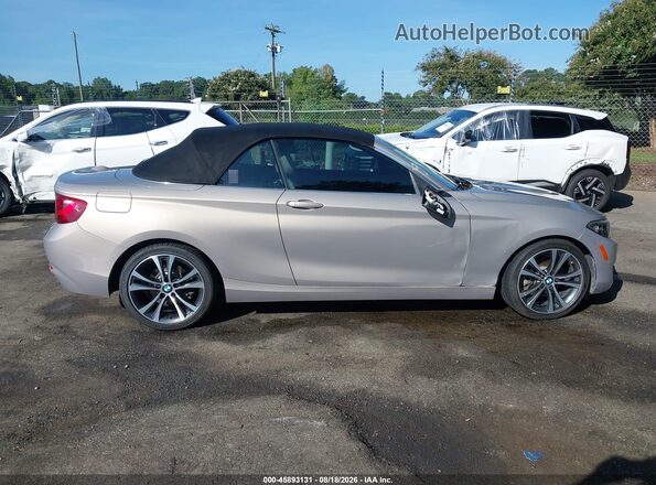 WBA2K9C38HV950356 2017 BMW 2 SERIES Brown Vista interior trasera