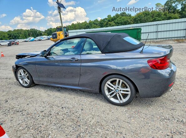 WBA2K9C51HV646965 2017 BMW 2 SERIES Gray Задня ліва чверть