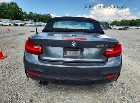 WBA2K9C51HV646965 2017 BMW 2 SERIES Gray Вид ззаду