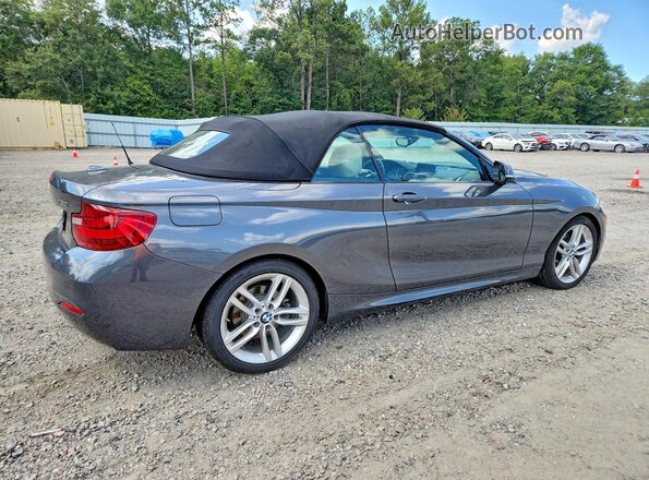 WBA2K9C51HV646965 2017 BMW 2 SERIES Gray Задня права чверть