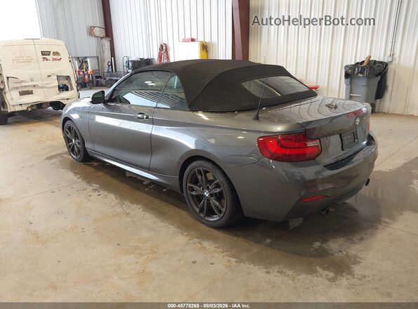 WBA2L1C38HV666501 2017 BMW M2 Gray უკანა მარცხენა
