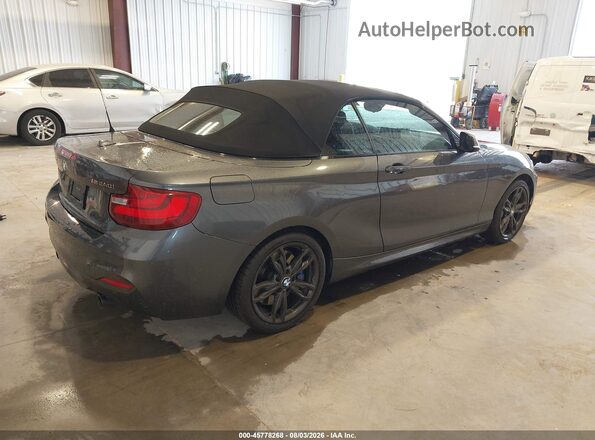 WBA2L1C38HV666501 2017 BMW M2 Gray უკანა მარჯვენა