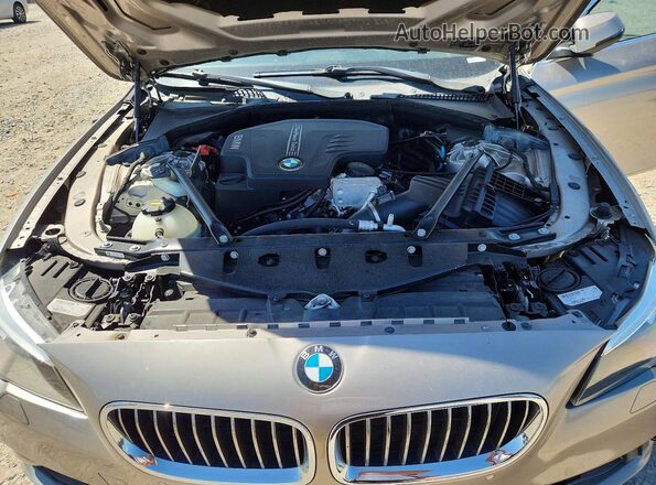 WBA5A5C53GD526601 2016 BMW 5 SERIES Золотой Вид задней части салона