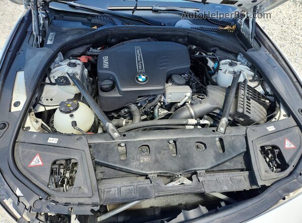 WBA5A5C55GD528737 2016 BMW 5 SERIES White Սալոնի հետևի տեսք