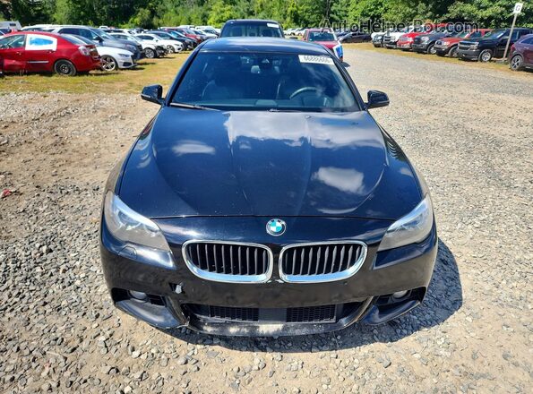 WBA5B1C59GG553743 2016 BMW 5 SERIES Black Սալոնի հետևի տեսք