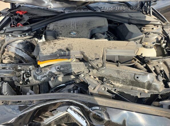 WBA8E3G53GNT77262 2016 BMW 3 SERIES Black Vista interior trasera