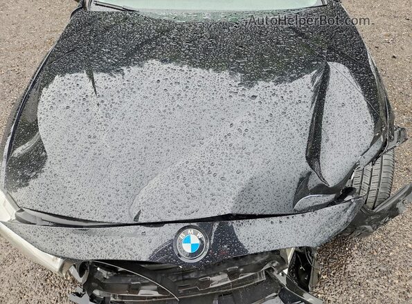 WBA8E5G57GNT40775 2016 BMW 3 SERIES Black Սալոնի հետևի տեսք