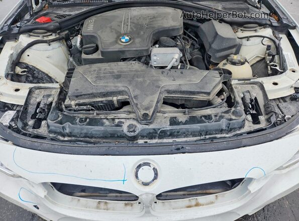 WBA8E9G57GNT45854 2016 BMW 3 SERIES Белый Вид задней части салона