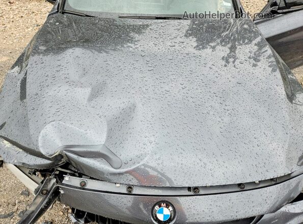 WBA8Y3C3XHG451097 2017 BMW 3 SERIES Черный Вид задней части салона