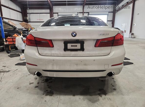 WBAJA5C57KBX86258 2019 BMW 5 SERIES White Widok z tyłu