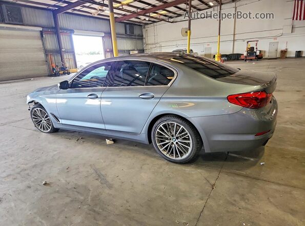 WBAJR3C00LWW54938 2020 BMW 5 SERIES Gray უკანა მარცხენა