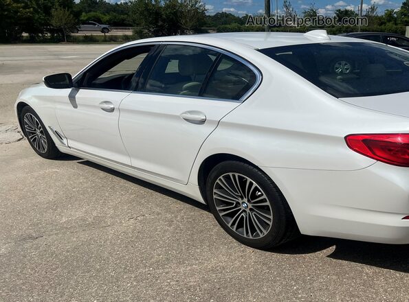 WBAJR3C00LWW63753 2020 BMW 5 SERIES White უკანა მარცხენა