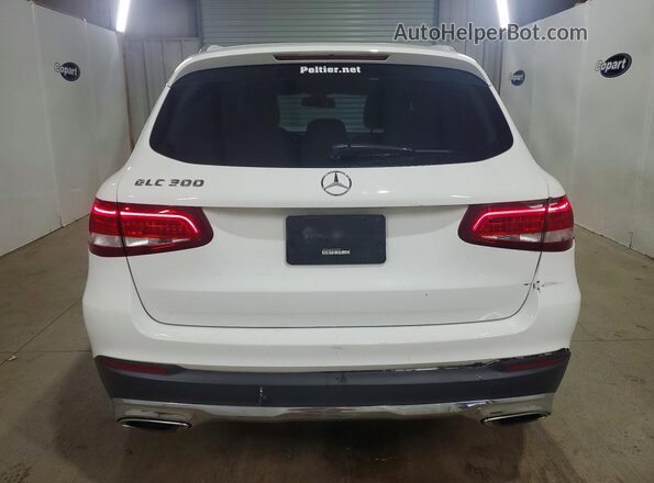 WDC0G4JB1GF059482 2016 MERCEDES-BENZ GLC-CLASS Белый Вид сзади