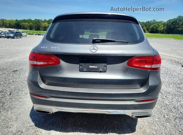 WDC0G4JB5GF010284 2016 MERCEDES-BENZ GLC-CLASS Gray Հետևի տեսք