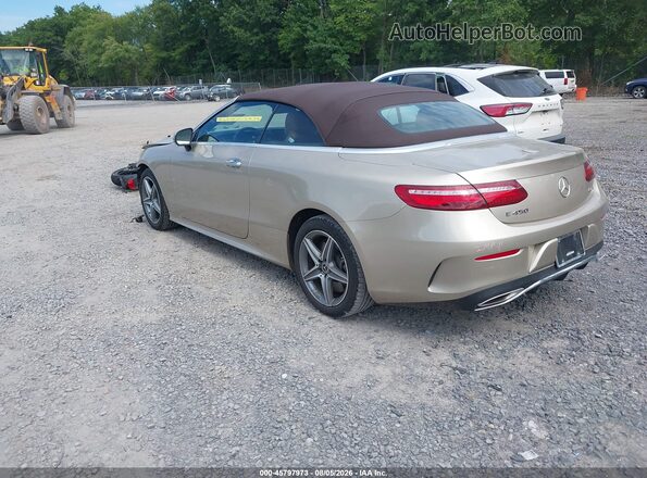 WDD1K6JB3KF080918 2019 MERCEDES-BENZ E-CLASS Beige Rear left