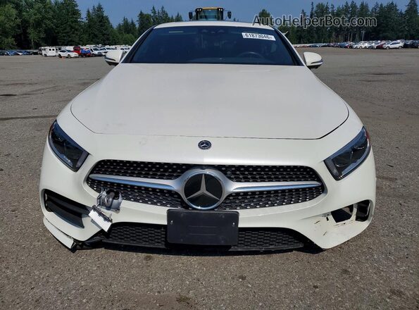 WDD2J5KB7KA028172 2019 MERCEDES-BENZ CLS-CLASS White Widok z przodu