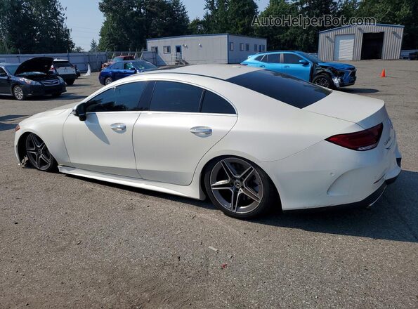 WDD2J5KB7KA028172 2019 MERCEDES-BENZ CLS-CLASS White Tył lewy