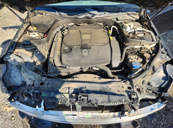 WDDHF5KB4GB182738 2016 MERCEDES-BENZ E Black უკანა სალონის ხედი
